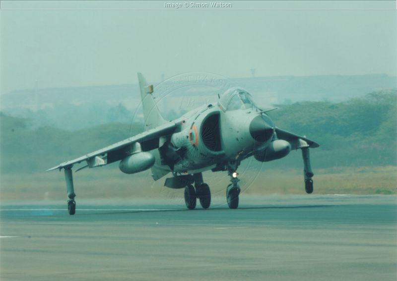 Harrier14.jpg