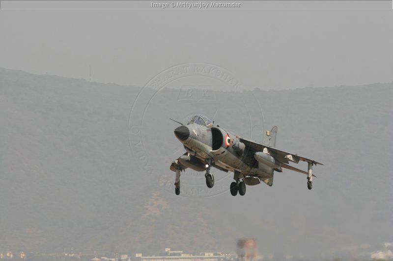Harrier07.jpg